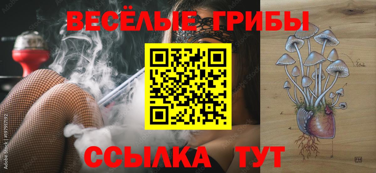 Кстово  Псилоцибиновые грибы Magic Shrooms  Вход с VPN 